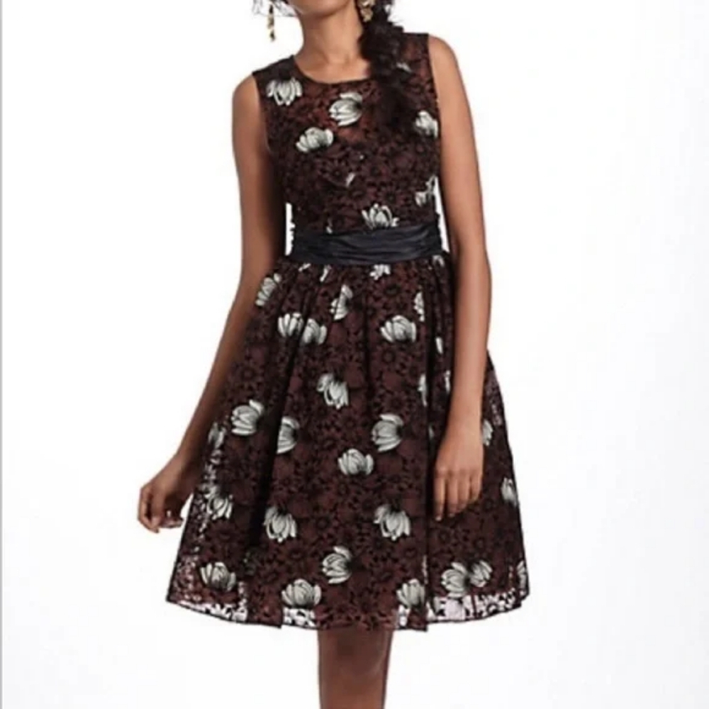 Anthropologie Frock by Tracy Reese Silk Chrysanthemum Floral Fit Flare Dress NWT